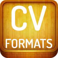 CV Formats 2021