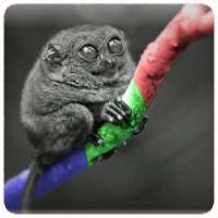 HLS Player Simulator FREE