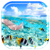 Caribe Island Ocean Tropic أيقونة