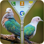 Pigeon Zipper Screen Lock icon