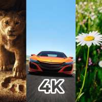 Lock Screen Wallpapers, Cool 4K Wallpapers