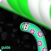 Guide for Snake io worms zone