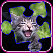 Kitty Cat Jigsaw Puzzles icon
