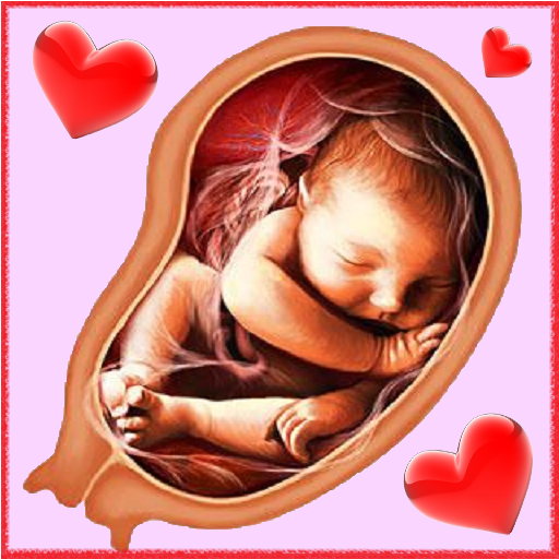 Pregnancy Week by week icon