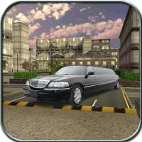 Limousine Car Race 2016