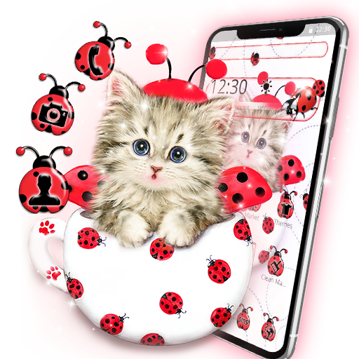 Cute Ladybird Cat Theme icon