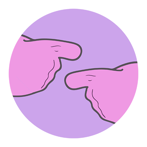 DiSLibras - Dicionário em Libras sobre Sexualidade icon