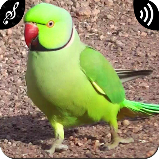 Parrot Sounds icon