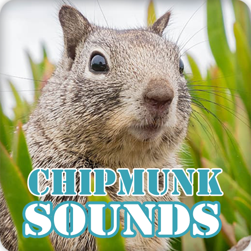 Chipmunk Sounds Ringtone Collection icon