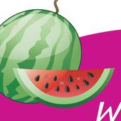 Close Up Pics - Game Lab - Puzzles Guess icon