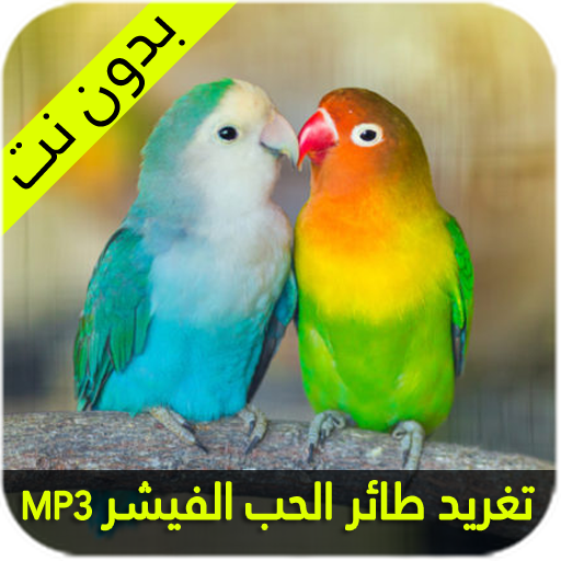 صوت طائر الحب الفيشر icon
