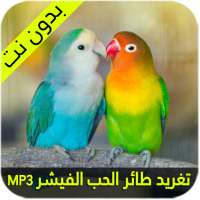 صوت طائر الحب الفيشر on 9Apps