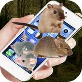 Mouse On Screen on 9Apps