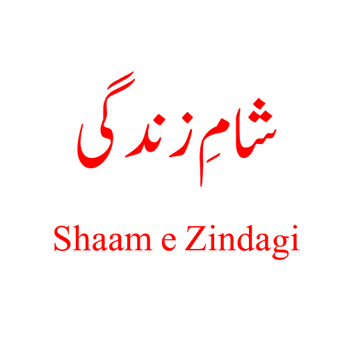 Shaam e ZIndagi icon