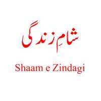 Shaam e ZIndagi