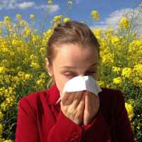 Allergic Rhinitis/ Hay Fever on 9Apps