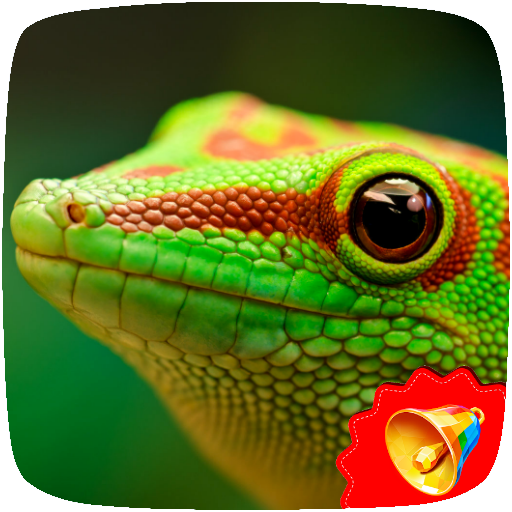 Gecko Sounds icon