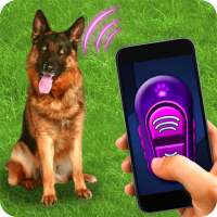Dog Training Clicker Trinket