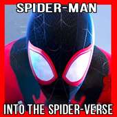 Play SPIDER-MAN INTO THE SPIDER-VERSE tips advice