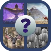 Guess the picture 2020 icon