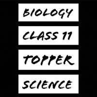 Boilogy Class 11 Topper Science
