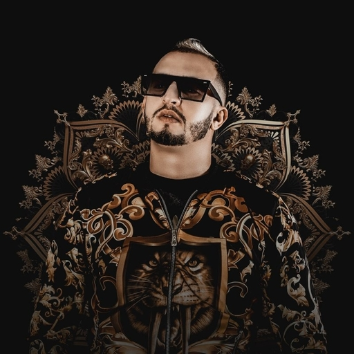 Mr Crazy Popular Songs Offline icon