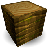 Play World Craft  Survive icon