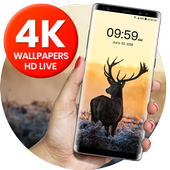 4K Pro Wallpaper icon