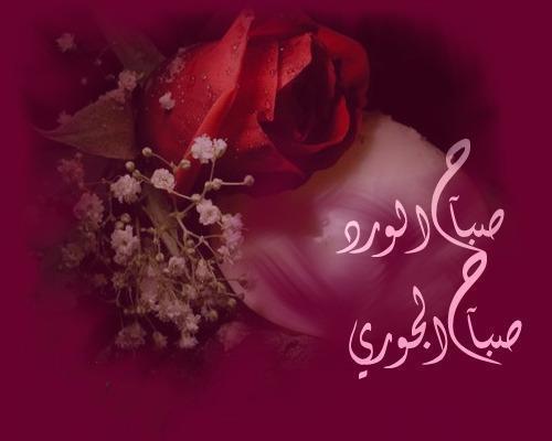 أروع رسائل و صور صباحية متنوعة و متجددة 3 تصوير الشاشة