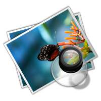 배경화면 체인저 (자동 변경)