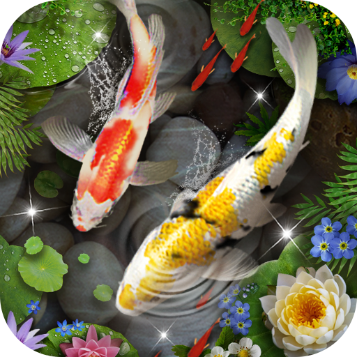 Koi Fish Theme &amp; Lively 3D Ripple Effect icon