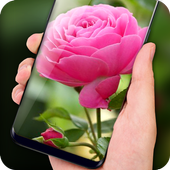Pink Rose Live Wallpaper HD Phone Background icon