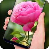 Pink Rose Live Wallpaper HD Phone Background on 9Apps