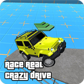 Race Real Crazy Drive icon