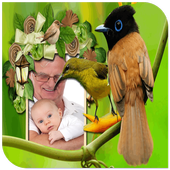 Birds Photo Frames icon