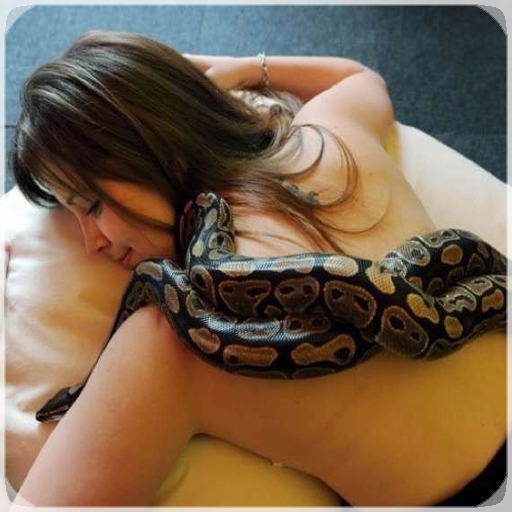 Best Funny Videos 2020 icon