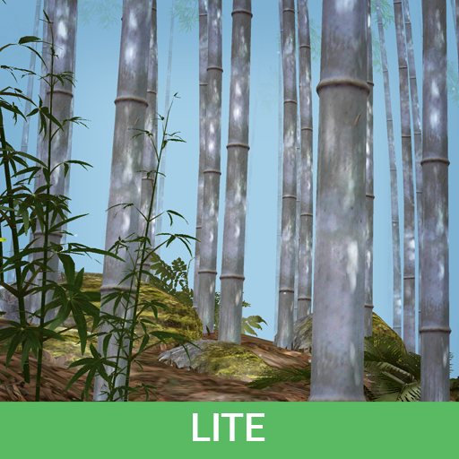 Bamboo Forest 3D Live Wallpaper Lite icon