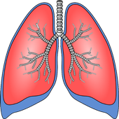 ফুসফুস পরিষ্কার করার পদ্ধতি icon