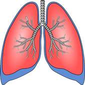 ফুসফুস পরিষ্কার করার পদ্ধতি on 9Apps