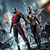Best Ant Man and The Wasp Wallpapers أيقونة