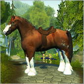 Horse Pure Blood icon