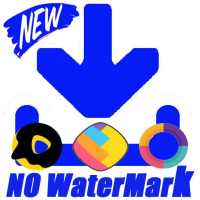 Video Downloader - without watermark