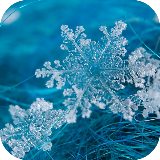 Snowflakes Live Wallpaper icon