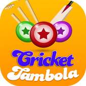 Tambola Cricket