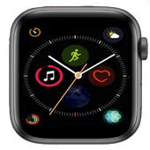 Apple Watch 4 icon