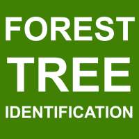 Forest Tree Identification on 9Apps