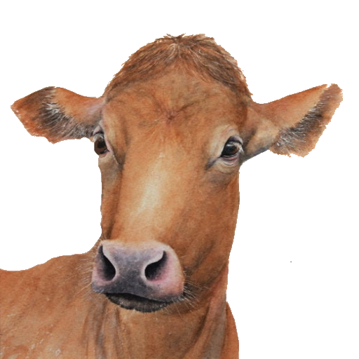 My Cattle Manager -Farming app icon