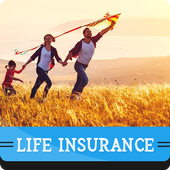 Life Insurance icon