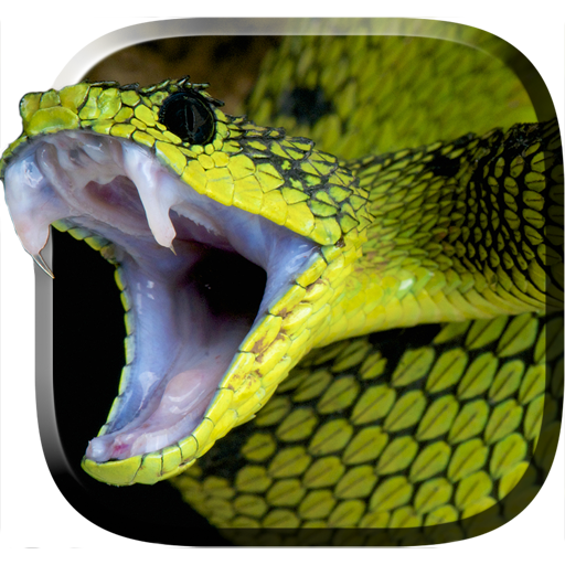 Snake Live Wallpaper icon