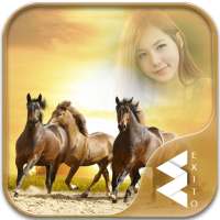 Horse Photo Frames